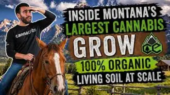 Screenshot of the Video "Inside Montana's Largest Cannabis Grow: 100% Organic Living Soil at Scale"