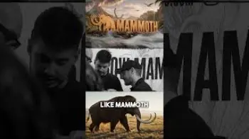 Screenshot of the Video "The Mammoth Story"