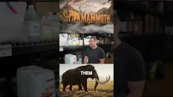 Screenshot of the Video "mammoth   promo #1Subs"