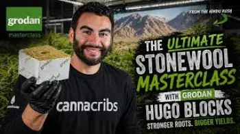 Screenshot of the Video "Deep Dive: Mastering Stonewool Cultivation with Grodan Hugo Blocks"