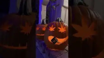 Screenshot of the Video "October 31, 2025"