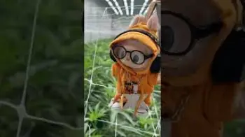 Screenshot of the Video "Labubu but make it KK 😎"