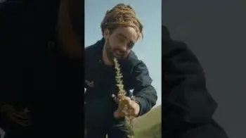 Screenshot of the Video "Discover Purple Plants, Kyrgyzstan"