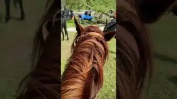Screenshot of the Video "Behind the scenes Kyrgyzstan 💚🎥"