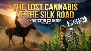 Screenshot of the Video "Strain Hunters | Kyrgyzstan Expedition - Episode 1"