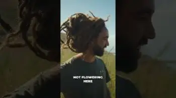 Screenshot of the Video "Wild Sativa Landrace Will It Ever Flower"