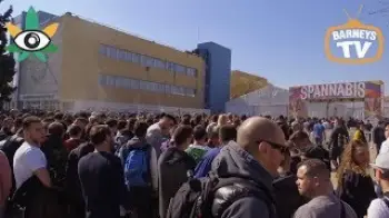 Screenshot of the Video "BARNEYS FARM @ SPANNABIS 2019 - BARCELONA"