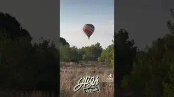 Screenshot of the Video "Let’s Flyyyyyy in a Hot Air Ballon! With High Vision"