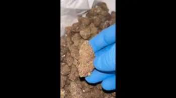 Screenshot of the Video "Ohio Grown { Frozen Grapes } Now at Klutch 🥶"