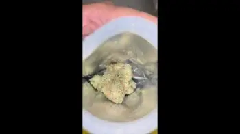 Screenshot of the Video "{ Fried Bananas } on the Grand Opening menu at Cookies in { Downtown St. Louis } 😶‍🌫️"