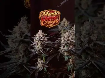 Screenshot of the Video "Mendo Cherry Cookies | Champions Line 🏆"