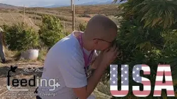 Screenshot of the Video "How Green House Feeding increases yield and quality - Growers Experiences"