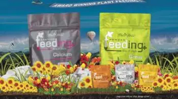 Screenshot of the Video "Green House Feeding"