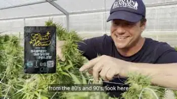 Screenshot of the Video "Green House Thailand - This is epic!! Grand Opening 20th of May"