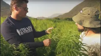Screenshot of the Video "Strain Hunters South Africa Expedition - FULL LENGTH"