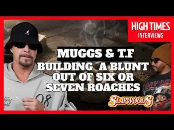 Screenshot of the Video "DJ Muggs & TF: 