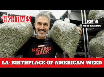 Screenshot of the Video "The Genetics Behind Your Favorite Strain, With Ethan Zohn | Kicking Back Ep. 6 — High Times Series"