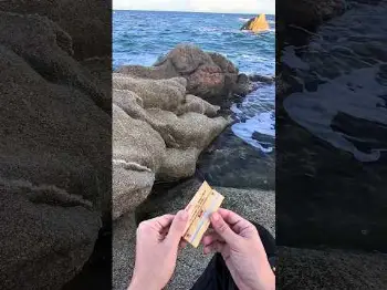Screenshot of the Video "Paradise ruined in under 5 seconds 💔"
