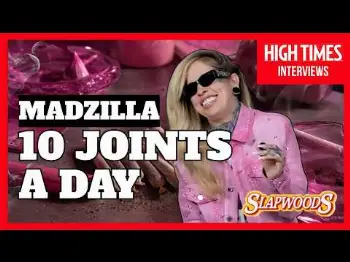 Screenshot of the Video "Madzilla's secret to looking good: 