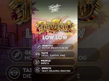 Screenshot of the Video "New Strain Low Low 🔥⛽️"