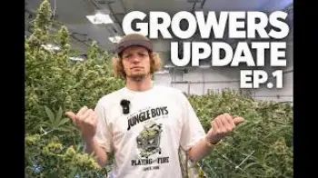 Screenshot of the Video "Growers Update Ep.1 | New Strains, Pheno Hunts & What’s Coming Next"