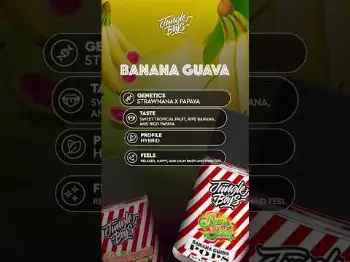 Screenshot of the Video "🍿 🍿 🍿"
