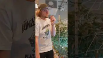 Screenshot of the Video "Clip from our Full Video dropping today! Growers Update Ep.1"
