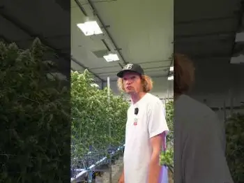 Screenshot of the Video "Triple Dip, newest OG on the BLOCK 🔥 ⛽️"
