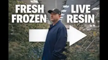 Screenshot of the Video "From Fresh Frozen to Live Resin | Inside the Process"