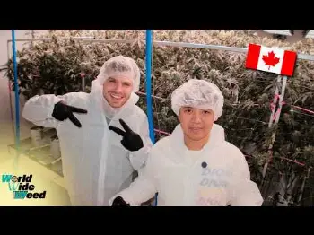 Screenshot of the Video "Auf der Suche nach der besten Kanadischen Flower🍁"