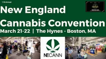Screenshot of the Video "2025 NECANN Boston Recap 2"