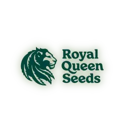 Royal Queen Seeds