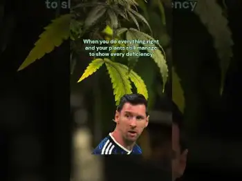 Screenshot of the Video "Messi Doesn't Approve This 👀"