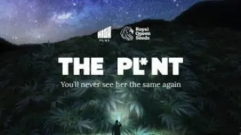 The Plant | A Cannabis Documentary