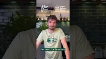 Screenshot of the Video "Different Strains = Different Flavours"