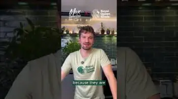 Screenshot of the Video "Use the steams & trim in your kitchen!"