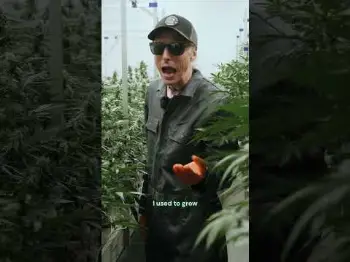 Screenshot of the Video "Responding to Haters: F1 Hybrids"