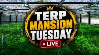 Screenshot of the Video "TERP MANSION TUESDAY LIVE!!!!"