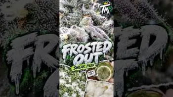 Screenshot of the Video "MOMO and RS11xMIMOSA Sneak Peak!! | TERP MANSION"