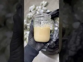 Screenshot of the Video "How longs it taking you to smoke all this rosin and melt? 💦 🍯"