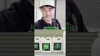 Screenshot of the Video "HOW TO PROPERLY FOLIAR SPRAY"