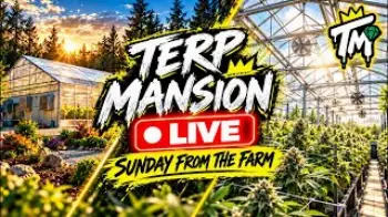 Screenshot of the Video "Sunday rounds on the farm 🌱"