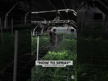 Screenshot of the Video "SPRAYING RAINBOWS OF PHYLLOSCAPE FROM SOILSCAPE SOLUTIONS! 🌈"