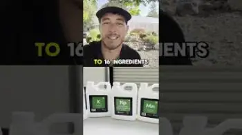 Screenshot of the Video "PHYLLOSACPE FOLIAR FEEDING"