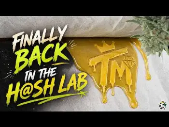 Screenshot of the Video "ORIGINAL GLUE FROM HARVEST TO H@SH !"