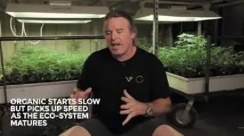 Screenshot of the Video "Kevin Jodrey: Plant Nutrients - Organic Vs. Salt-Based Feeds / Ganjier"
