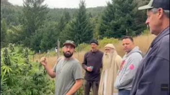 Screenshot of the Video "Ganjier/Conversations w/Cultivators: Pineapple Dragon (Farm Cut) Nikka T, Johnny Casali, Jesse Hill"