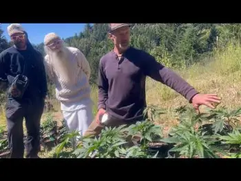 Screenshot of the Video "Grower's Choice: Seasonal Seed Selection & Cultivar Preview / Jesse Hill / Fallen Oak Farm / Ganjier"