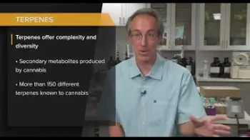 Screenshot of the Video "Dr. Jeff Raber / Cannabis Science: Cannabinoids, Terpenes, Mangoes & Myrcene /Ganjier Course Preview"