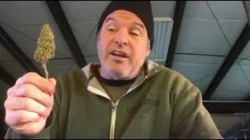 Screenshot of the Video "Kevin Jodrey:Deep Cut -What Makes a Cultivar Desirable? Terpenes, Esters & Genetics of Aroma/Ganjier"